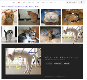 新しいGoogle画像検索ネコ