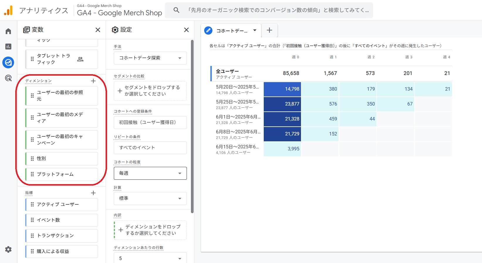 ディメンション1