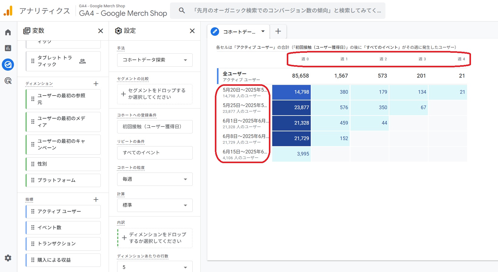 GA4のコホート分析の見方1